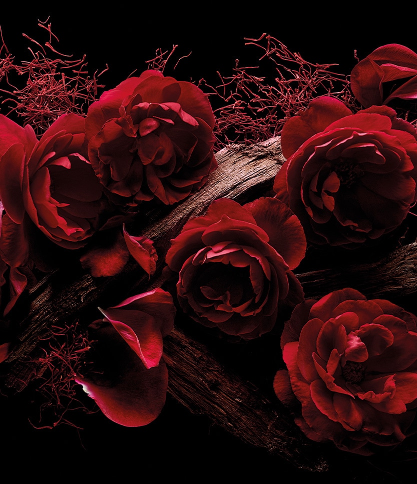 Rose Oud Floral Perfume, Ressource 50 ml