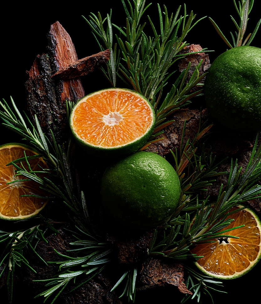 Kologne, shield of protection The Fresh, 100ml refill