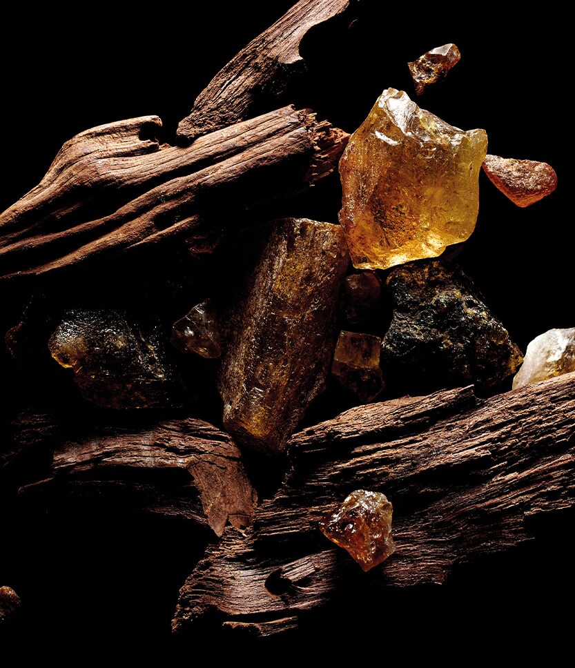 Sacred Wood Anniversary Edition