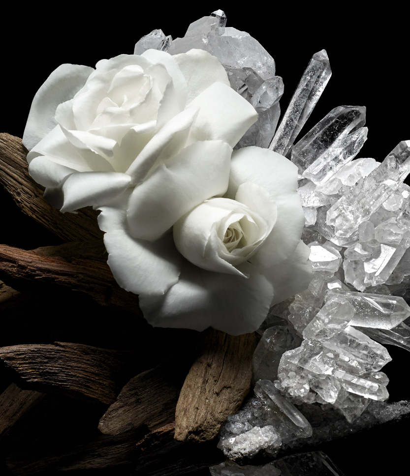 Musk Butterfly The Narcotics, 100ml refill