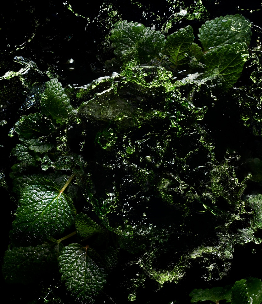 Fièvre Verte by Kilian The Liquors, Recharge 100 ml